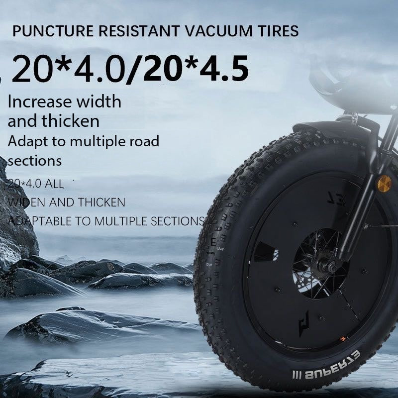 RX Black Warrior Snowmobile Wide Tire Off-Road Electric Bicycle Supports Modification