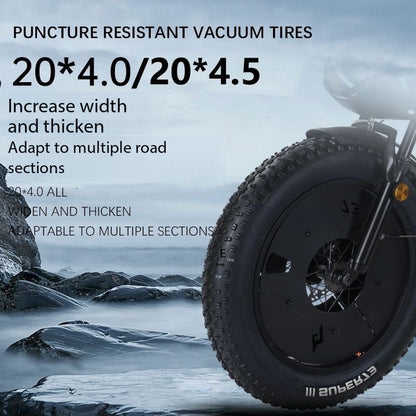 RX Black Warrior Snowmobile Wide Tire Off-Road Electric Bicycle Supports Modification